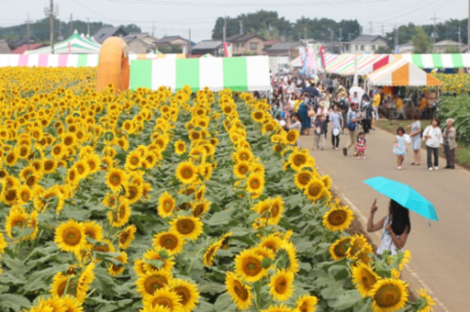 町の活性化、観光振興のための関連事業