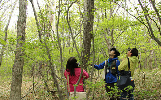 那須平成の森 プログラム 30,000円分利用券 ｜ 体験 遊び チケット 自然 金券 国内 那須 栃木県 那須町〔G-42〕