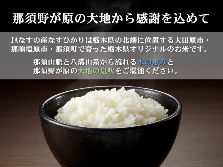 令和7年産 栃木県産 なすひかり 5kg JAなすの産地直送【大田原市・那須塩原市・那須町共通返礼品】〔P-85〕｜ 米 コメ こめ 白米 精米 新米 ※離島への配送不可