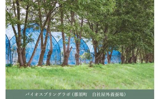 PALELINO ロディニアシルク スキンローション 化粧水 150ml×2本 保湿 うるおい スキンケア 化粧品 コスメ ふるさと納税 栃木県 那須町 〔P-162〕