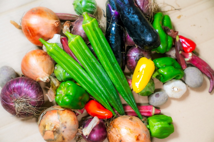 ＼食と元気を結ぶお手伝い／農村レストラン 飛火鞍 収穫体験＆地元シェフによるランチのお食事チケット 1名様分 〔C-93〕 | 野菜 やさい 収穫体験 ランチ 発酵食 体験 お食事券 農業体験 那須町 栃木県