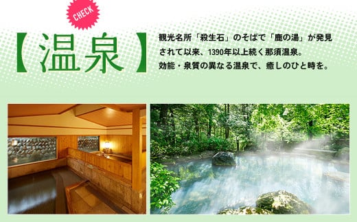 那須温泉旅館協同組合 ご宿泊利用券 15,000円分（3,000円×5枚）〔E-6〕｜宿泊 旅行 チケット 宿泊券 温泉 露天風呂 旅行券 ホテル 観光 国内旅行 那須 栃木県 那須町