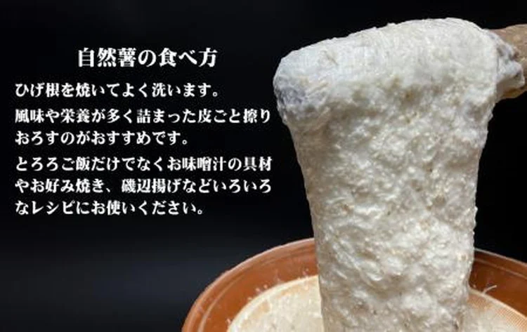 ãå®æäŸ¿3ãµæãé£é çºç£ èªç¶è¯ïŒã«ããïŒ600gïœ650g | ãšãã èŽãç© ãåç£ ã°ã«ã¡ çŸå³ãã ãããã é£ã¹ç© é£é æ æšç é£é çºãP-213ã â»2026幎12æïœçºé