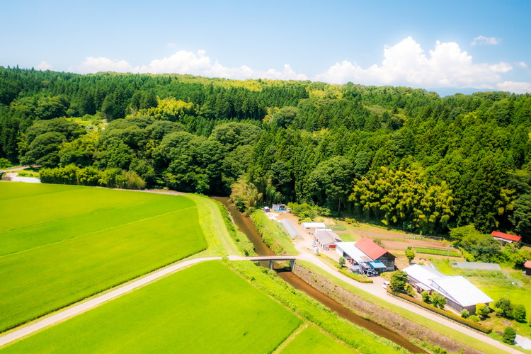 ＼食と元気を結ぶお手伝い／農村レストラン 飛火鞍 収穫体験＆地元シェフによるランチのお食事チケット 1名様分 〔C-93〕 | 野菜 やさい 収穫体験 ランチ 発酵食 体験 お食事券 農業体験 那須町 栃木県