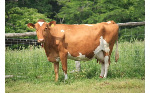 åã¶äžç§å Ž ã¢ã€ã¹ã¯ãªãŒã 6åã»ãã è©°åã ãB-139ã | ã¹ã€ãŒã ã¢ã€ã¹ é«çŽã¢ã€ã¹ è©°ãåãã ä¹³ç å·å é£é çº