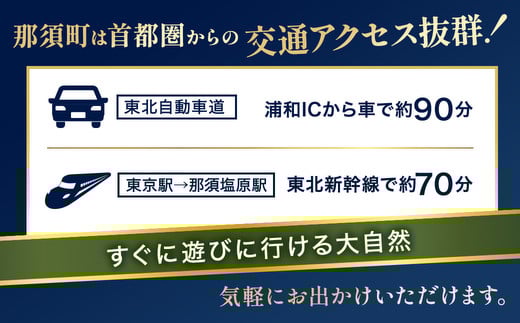 那須でゴルフを満喫！ゴルフ場利用券21,000円分｜ゴルフ ゴルフ場 利用券 チケット プレーチケット 体験 旅行 観光 プレー券 那須 栃木県那須町 那須町〔F-17〕 ※離島への配送不可