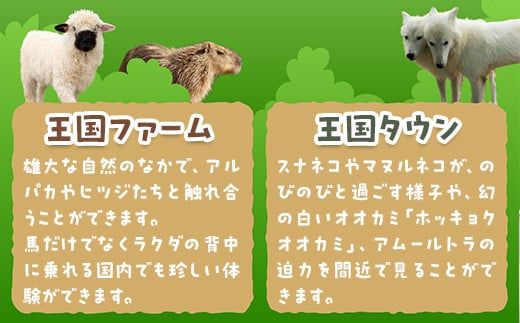 那須どうぶつ王国 ペアご招待券 2名 ｜ 動物 動物園チケット 動物園 どうぶつえん チケット 券 入場券 入園券 観光 ファミリー 家族 お出かけ 旅行 栃木県 那須町〔P-153〕