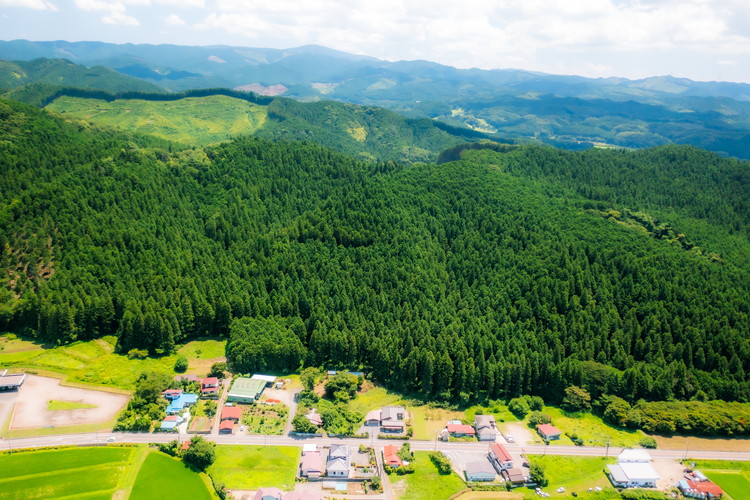 ＼食と元気を結ぶお手伝い／農村レストラン 飛火鞍 収穫体験＆地元シェフによるランチのお食事のペアチケット 〔P-435〕 | 野菜 やさい 収穫体験 ランチ 発酵食 体験 お食事券 農業体験 那須町 栃木県