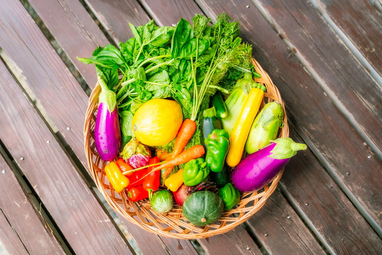 é£ãšå
æ°ãçµã¶ãæäŒãïŒèŸ²æã¬ã¹ãã©ã³ é£ç«é åç©«äœéšïŒçºé
µé£ã©ã³ãã®ãé£äºã®ãã¢ãã±ãã ãD-85ã | éè ããã åç©«äœéš ã©ã³ã çºé
µé£ äœéš ãé£äºåž 蟲æ¥äœéš é£é çº æ æšç