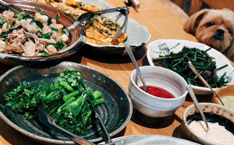 ＼食と元気を結ぶお手伝い／農村レストラン 飛火鞍 収穫体験＆地元シェフによるランチのお食事チケット 1名様分 〔C-93〕 | 野菜 やさい 収穫体験 ランチ 発酵食 体験 お食事券 農業体験 那須町 栃木県