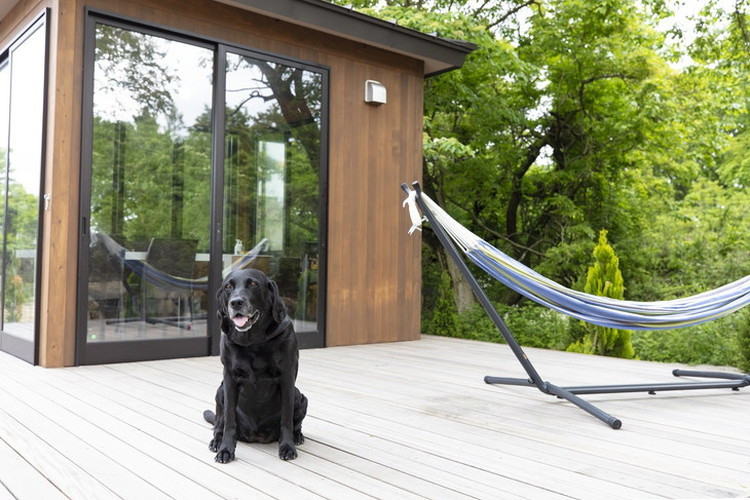 驍」鬆医ワ繝溘Ν縺ョ譽ョ 螳ソ豕雁茜逕ィ蛻ク (30,000蜀蛻)ス懊げ繝ゥ繝ウ繝斐Φ繧ー 繝峨シ繝繝繝ウ繝 螳ソ豕 譌陦 繝√こ繝繝 螳ソ豕雁虻 譌陦悟虻 蝗ス蜀譌陦 繧「繧ヲ繝医ラ繧「 閾ェ辟カ 驍」鬆 譬譛ィ逵 驍」鬆育伴縲濡-20縲
