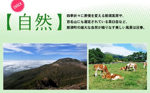 那須温泉旅館協同組合 ご宿泊利用券 135,000円分（3,000円×45枚）〔Ｎ-1〕｜宿泊 旅行 チケット 宿泊券 温泉 露天風呂 旅行券 ホテル 観光 国内旅行 那須 栃木県 那須町