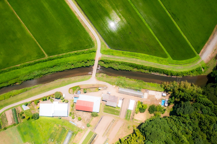 ＼食と元気を結ぶお手伝い／農村レストラン 飛火鞍 収穫体験＆地元シェフによるランチのお食事のペアチケット 〔P-435〕 | 野菜 やさい 収穫体験 ランチ 発酵食 体験 お食事券 農業体験 那須町 栃木県