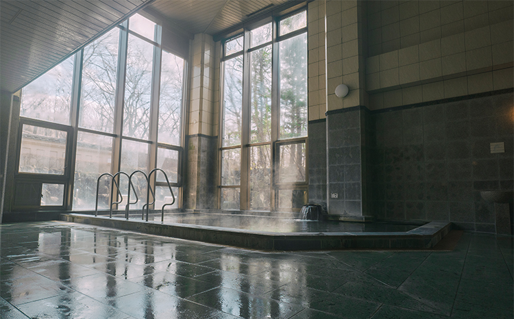 【恐竜ホテル ブランヴェール那須】利用券6,000円分（1,000円×6枚） ｜ 栃木 那須 恐竜ホテル 室内プール 温泉 家族旅行 3世代旅行 リゾート 宿泊券 ギフト券 館内利用券 観光 トラベル 宿 〔C-88〕