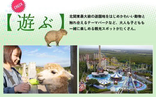 那須温泉旅館協同組合 ご宿泊利用券 6,000円分（3,000円×2枚）〔C-8〕｜宿泊 旅行 チケット 宿泊券 温泉 露天風呂 旅行券 ホテル 観光 国内旅行 那須 栃木県 那須町