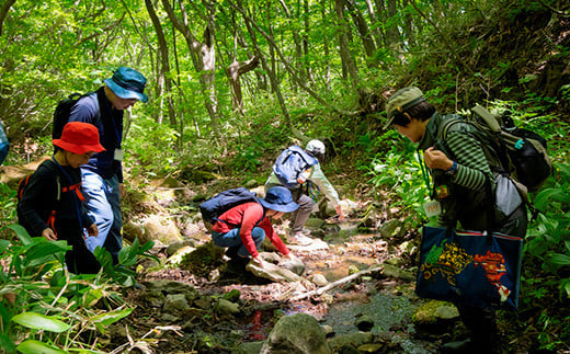 那須平成の森 プログラム 30,000円分利用券 ｜ 体験 遊び チケット 自然 金券 国内 那須 栃木県 那須町〔G-42〕