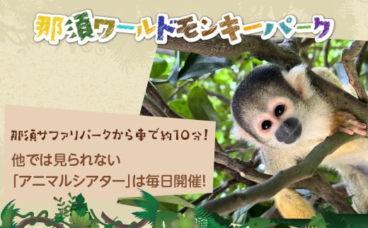 那須サファリパーク入園券（大人2名 子ども1名）モンキーパーク割引チケット付き！動物 動物園チケット どうぶつえん チケット 券 入場券 入園券 エサやり ライオンバス付き 観光 ファミリー 家族 栃木県 那須町〔P-156〕