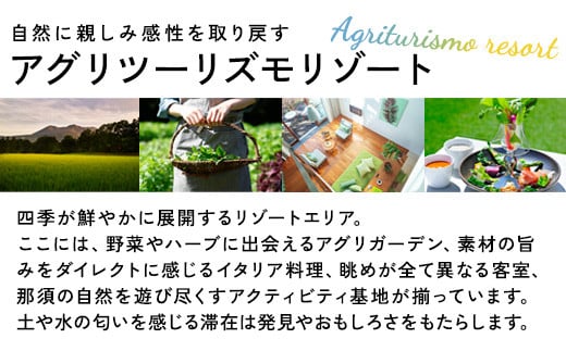 星野リゾート リゾナーレ那須 宿泊ギフト券（150,000円分）｜ 宿泊 旅行 チケット 宿泊券 旅行券 観光 国内旅行 那須 栃木県 那須町〔P-123〕 ※着日指定不可