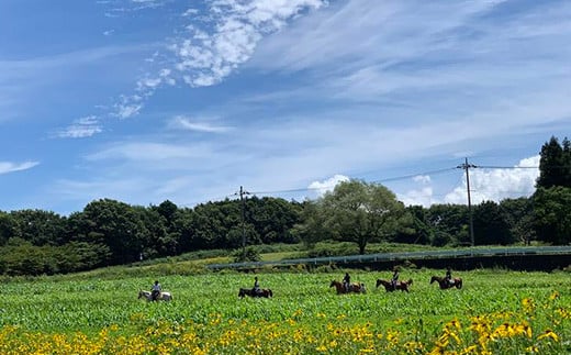 那須高原を馬とめぐる2時間のホーストレッキング 外乗ペア利用券【平日限定】チケット 利用券 ペア 体験 乗馬 初心者歓迎〔P-100〕