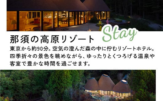 星野リゾート リゾナーレ那須 宿泊ギフト券（450,000円分） ｜ 宿泊 旅行 チケット 宿泊券 旅行券 観光 国内旅行 那須 栃木県 那須町〔P-176〕 ※着日指定不可