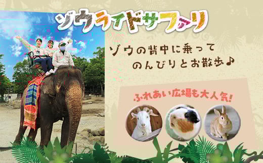 那須サファリパーク入園券（大人2名 子ども1名）モンキーパーク割引チケット付き！動物 動物園チケット どうぶつえん チケット 券 入場券 入園券 エサやり ライオンバス付き 観光 ファミリー 家族 栃木県 那須町〔P-156〕