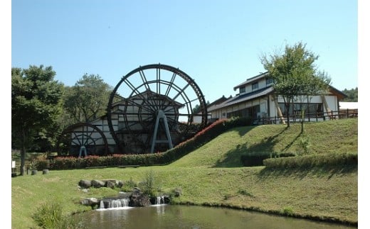 日本有数の直径12ｍの巨大水車が目印！道の駅東山道伊王野　お食事券〔C-33〕≪和食 蕎麦 ソバ こしひかり コシヒカリ 那須≫