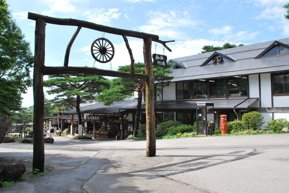 南ヶ丘牧場 アイスクリーム12個セット スイーツ アイス 高級アイス 詰め合わせ 乳牛 冷凍 那須町〔P-132〕