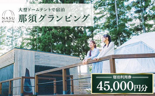 那須グランピング　宿泊利用券　45,000円分（1,000円×45枚） ｜ 大型ドームテントと個別のトイレシャワー洗面台完備！豪華ディナー＆モーニング付！ 宿泊 旅行 チケット 宿泊券 旅行券 優待券 観光 国内旅行 グランピング 那須 栃木県 那須町〔H-19〕