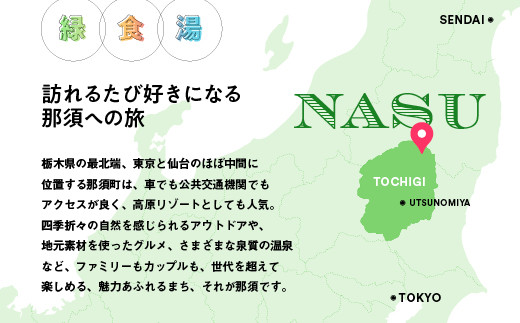 栃木県那須町で使える 共通宿泊利用券 6,000円分（3,000円×2枚）〔C-8〕｜宿泊 旅行 チケット 宿泊券 温泉 露天風呂 旅行券 ホテル 観光 国内旅行 那須 栃木県 那須町