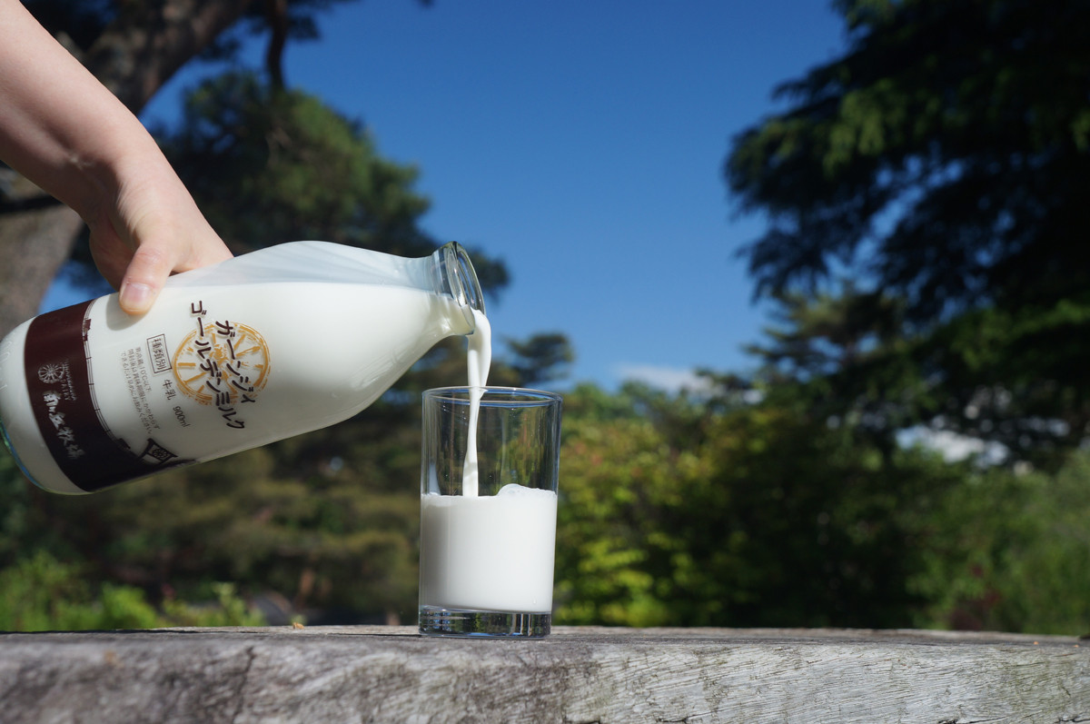 南ヶ丘牧場 アイスクリーム12個セット スイーツ アイス 高級アイス 詰め合わせ 乳牛 冷凍 那須町〔P-132〕