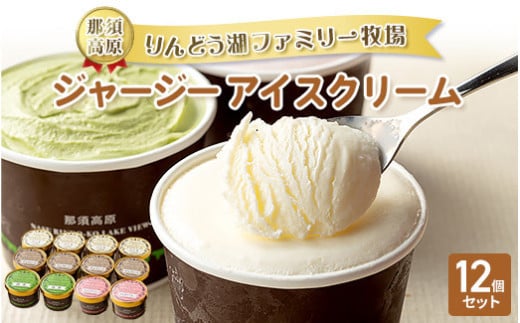 那須高原りんどう湖ファミリー牧場 ジャージーアイスクリーム 12個 詰め合わせ｜あいす アイス バニラ チョコ ストロベリー 抹茶 デザート スイーツ おすすめ ギフト 那須 栃木県 那須町〔P-223〕
