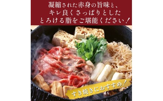 【小分け】那須町産 那須の後藤牛 切り落とし 400g〔B-119〕｜ お肉 肉 牛肉 切り落とし肉 国産 冷凍 那須 栃木県 那須町