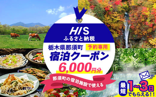 HISふるさと納税宿泊予約専用クーポン（栃木県那須町）6,000円分｜宿泊 宿泊券 旅行 旅行券 旅券 クーポン 旅 トラベル お出かけ 温泉 宿泊予約 HIS 那須 〔C-78〕