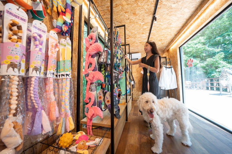 ããã« ãã©ã¬ã¹ããã«ãºé£é 3,000åå©çšåž ïœ ãã±ãã æ
è¡ æ
è¡åž å©çšåž 芳å
ããã é£é æ æšç é£é çºãB-132ã