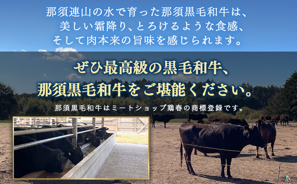 熟成那須黒毛和牛（ドライエイジング）焼肉用 〔B-3〕| 牛肉 国産 赤身 那須和牛 黒毛和牛 那須黒毛和牛 とちぎ和牛 栃木和牛 ブランド牛 A5 すき焼き しゃぶしゃぶ 焼肉 ステーキ 夜ご飯 夜ごはん 晩ご飯 晩ごはん お取り寄せグルメ お中元 御中元 お歳暮 贈答 贈り物 ギフト プレゼント 母の日 父の日 敬老の日 記念日 誕生日 お祝い 定期便 栃木県 那須町