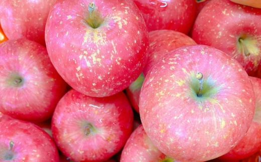 りんごジュース 1L×2本〔P-231〕｜りんご 林檎 リンゴ おいしい スイーツ セット 那須 大野りんご園 栃木県 那須町