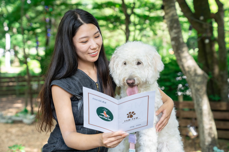 ããã« ãã©ã¬ã¹ããã«ãºé£é 3,000åå©çšåž ïœ ãã±ãã æ
è¡ æ
è¡åž å©çšåž 芳å
ããã é£é æ æšç é£é çºãB-132ã