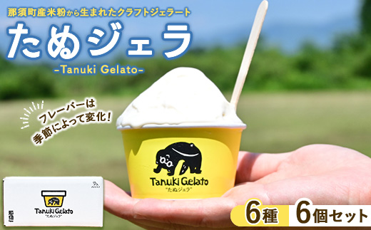 那須町産米粉から生まれたクラフトジェラート『たぬジェラ』6個セット〔B-127〕 | 栃木県 那須町 ジェラート アイス 氷菓 ※沖縄・離島への配送不可