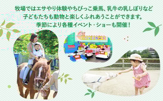 é£é é«åããã©ãæ¹ãã¡ããªãŒç§å Ž ä¹ãæŸé¡ä» ãã¢å
¥ååž ãã±ãã ã¡ãã£ãš åž å
¥å Žåž å
¥åãã±ãã 芳å
ã¬ãžã£ãŒ ãã¡ããªãŒ ãã㺠家ææ
è¡ ã¹ããã æ æšç é£é çºãD-40ã