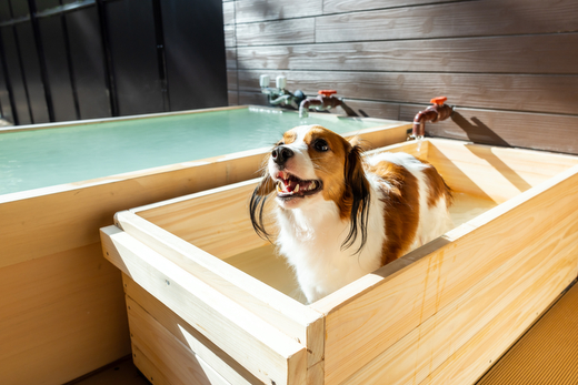 四季の宿 こよみ 宿泊利用券 120,000円(ゆきみそう別邸が令和6年7月1日「四季の宿こよみ」にリブランド致しました)｜宿泊 旅行 チケット 宿泊券 旅行券 観光 国内旅行 那須 栃木県 那須町〔M-3〕