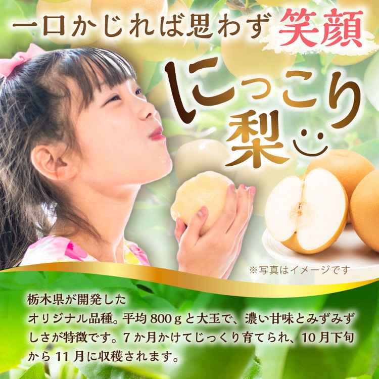 【栃木県共通返礼品】 JAなすの産 梨 にっこり 5kg〔P-391〕※北海道・沖縄・離島への配送不可 ※2025年10月上旬～10月下旬頃に順次発送予定