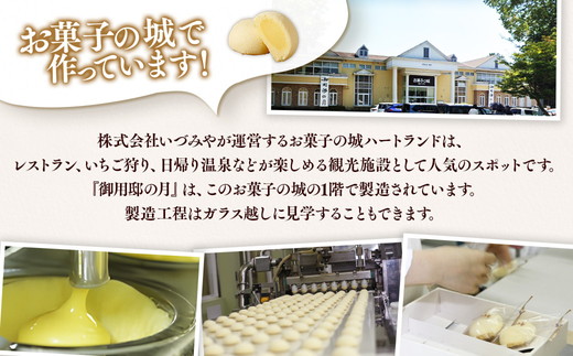 蠕。逕ィ驍ク縺ョ譛医捻-54縲補岡縺願藷蟄 驫倩藷 繧ケ繧、繝シ繝 繧ォ繧ケ繝繝ゥ 繧ォ繧ケ繧ソ繝シ繝 縺縺・縺ソ繧 繧ョ繝輔ヨ 竕ォ