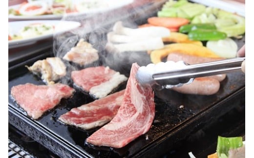 ã¢ã³ãŽãªã¢ãã¬ããž ãã³ã²ã« 宿æ³å©çšåž 9,000åå ïœ å®¿æ³ æ
è¡ ãã±ãã 宿æ³åž 宿æ³å©çšåž ã¢ã³ãŽã« ãã³ã²ã« é£é ã²ã«ãD-5ã