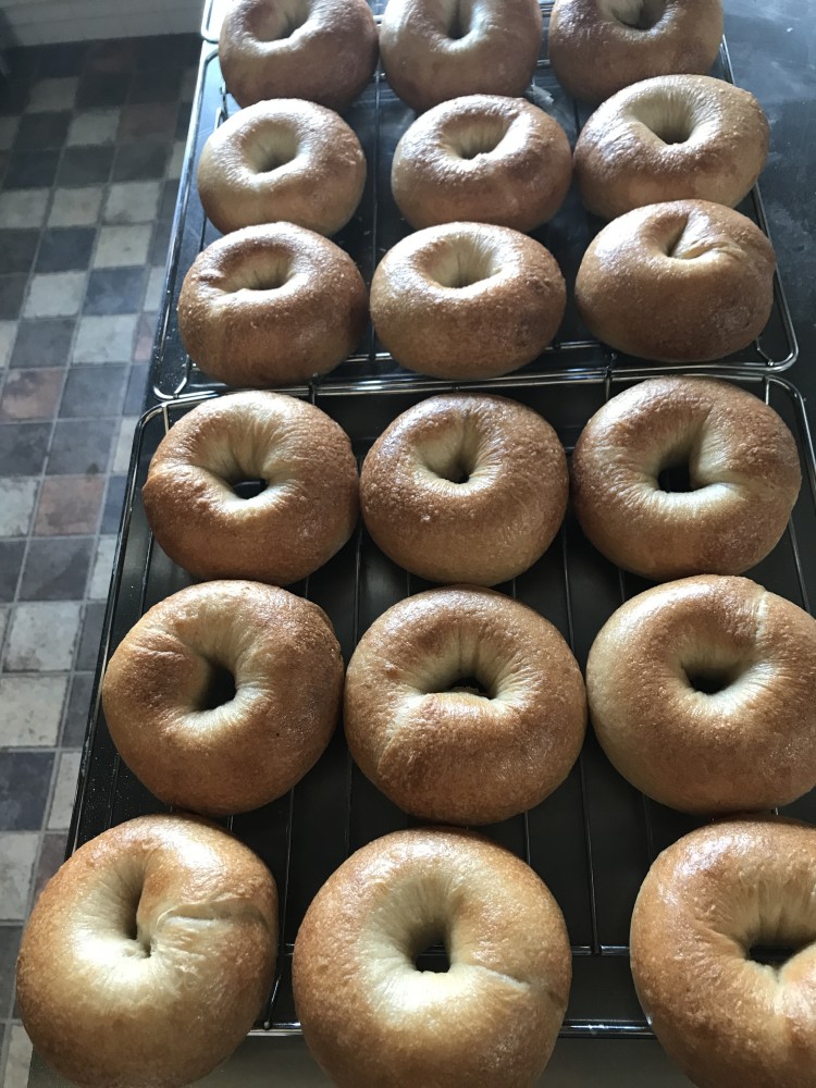 天然酵母パンセット ｜ パン スコーン ベーグル マフィン 天然酵母 乳製品不使用 卵不使用 那須町 栃木県 〔P-349〕