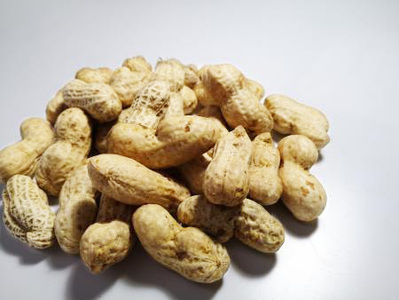 大粒生落花生「おおまさり」1kg ◇ ｜ 落花生 大粒 ピーナッツ おつまみ 国産 おやつ 冷蔵 那須 栃木県 那須町〔P-81〕　※2025年9月上旬～10月下旬頃に順次発送予定