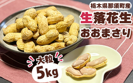 大粒生落花生「おおまさり」5kg｜落花生 大粒 ピーナッツ おつまみ 国産 おやつ 冷蔵 那須 栃木県 那須町〔D-50〕※2025年9月上旬～10月下旬頃に順次発送予定