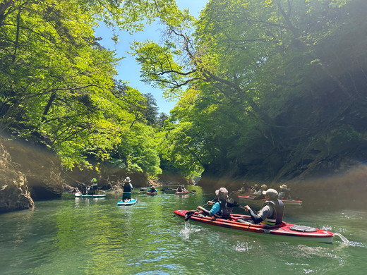 矢の目ダム湖のカヌー半日体験ツアー（シングル） 大人ペアチケット ｜ 那須 チケット 利用券 ペア アクティビティ カヌー 体験 那須 栃木県 那須町〔P-233〕