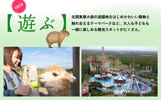 栃木県那須町で使える 共通宿泊利用券 30,000円分（3,000円×10枚）〔G-16〕｜宿泊 旅行 チケット 宿泊券 温泉 露天風呂 旅行券 ホテル 観光 国内旅行 那須 栃木県 那須町