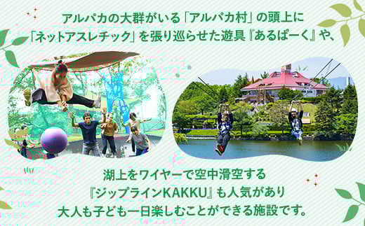 é£é é«åããã©ãæ¹ãã¡ããªãŒç§å Ž ä¹ãæŸé¡ä» ãã¢å
¥ååž ãã±ãã ã¡ãã£ãš åž å
¥å Žåž å
¥åãã±ãã 芳å
ã¬ãžã£ãŒ ãã¡ããªãŒ ãã㺠家ææ
è¡ ã¹ããã æ æšç é£é çºãD-40ã