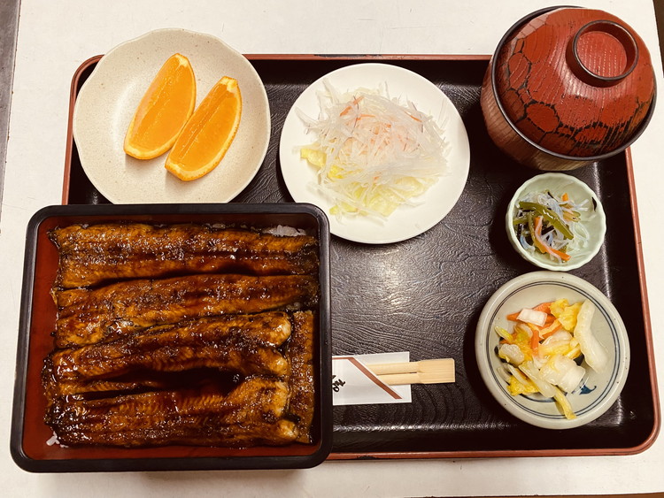 嵿¥300幎ããªãã®äžåå±ãé£äºåžãC-21ãâªãŠãã® é°» ããªé é£äºåž ãé£äºãã±ããâ«